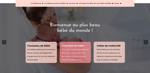 https://www.babyroi.fr